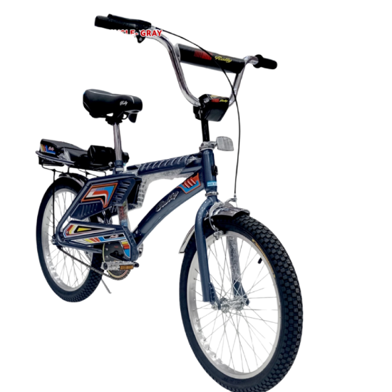 صورة دراجة رالي للأطفال 20 بوصة